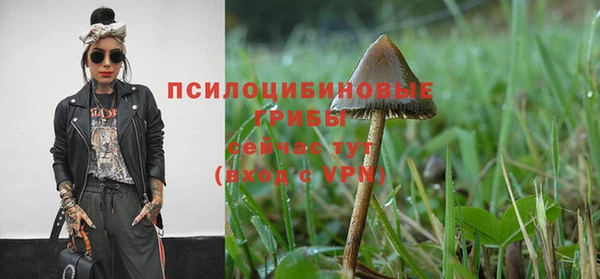 МДПВ Михайловск